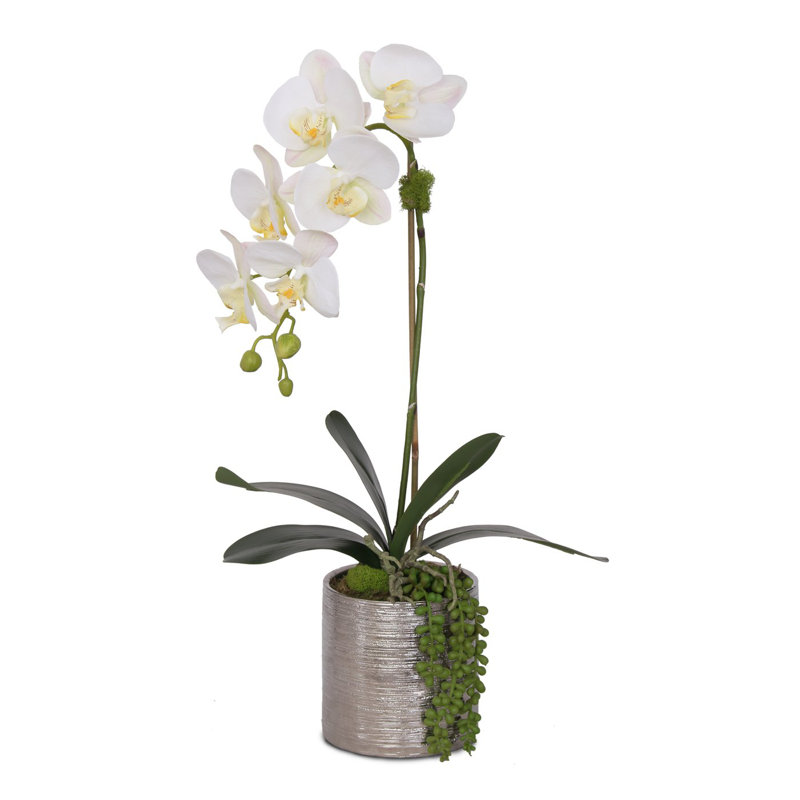 Arrangement de fausses fleurs orchidées en pot