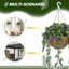30cm Plant