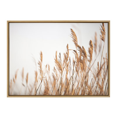 Marsh Grass No 4 by Crystal Lynn Collins Framed Canvas Wall Art Print