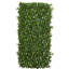 Clôture extensible Podocarpus résistante aux rayons UV et imperméable