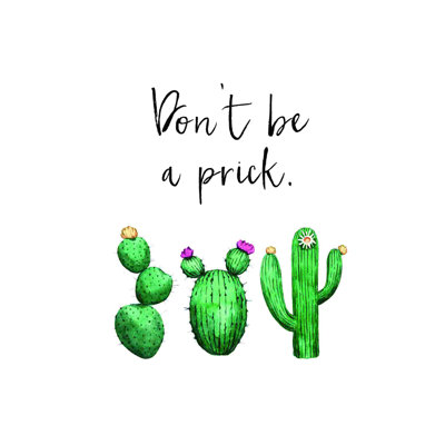 Don’T Be A Prick Cactus 2