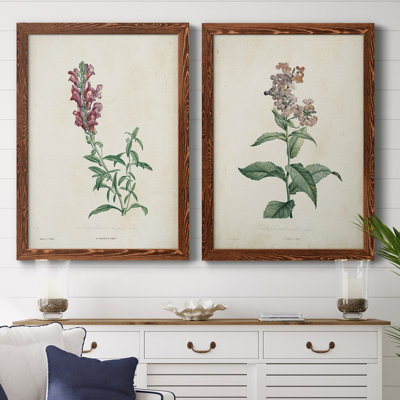 Toile encadrée de qualité supérieure Traditional Botanical I - prête à être accrochée
