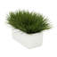 Herbe artificielle en pot de fleurs-2129745443-2129745441-2129690918
