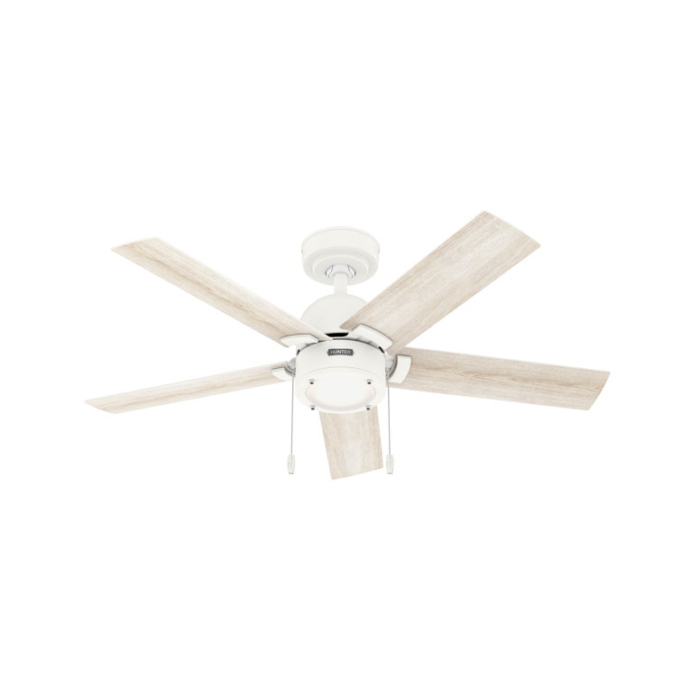 44" Erling 5 - Blade Ceiling Fan with LED Light Kit and Pull Chain