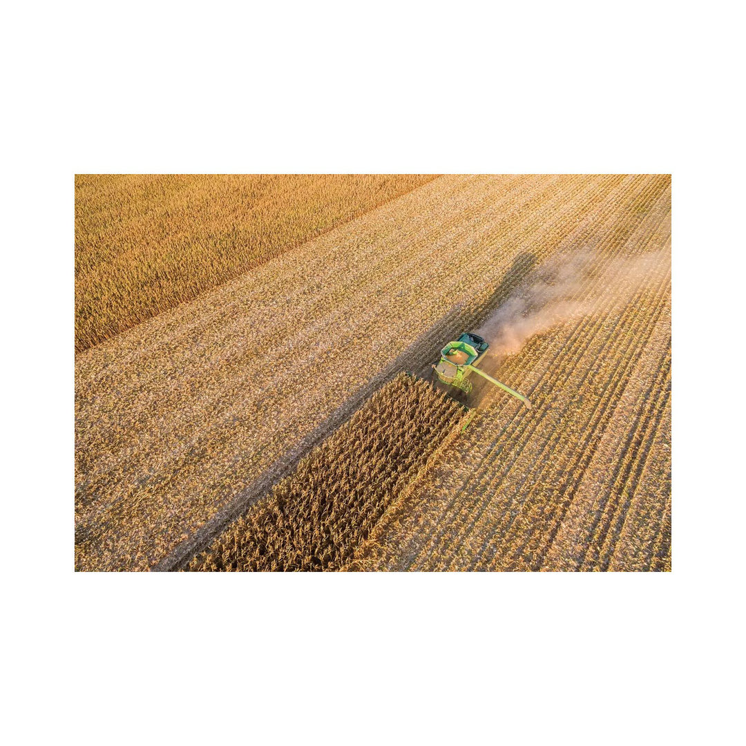 Aerial View Of Combine Harvesting Corn Crop, Marion County, Illinois, USA - Wrapped Canvas Print