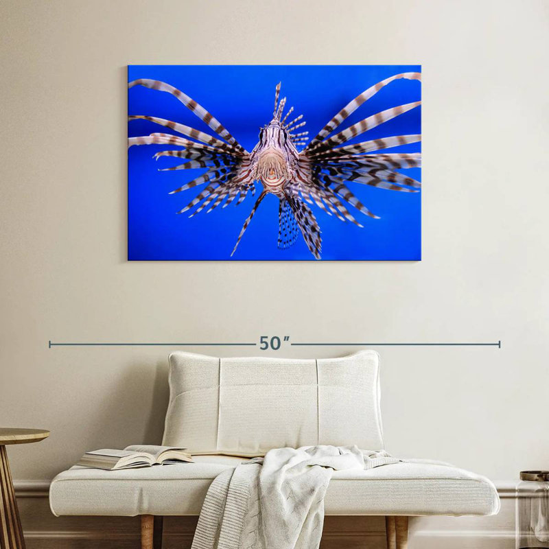 Crowle Lionfish Close Up