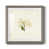 Gray Framed Paper