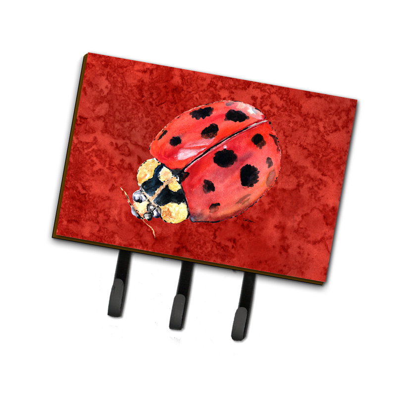 Coccinelle à clé et crochet à clé