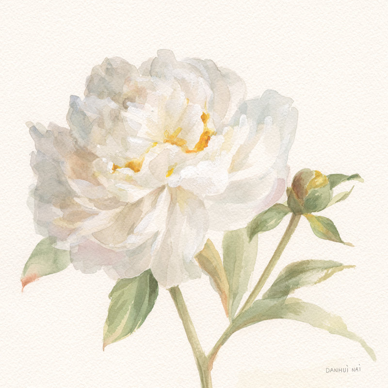 «Garden Peony» par Danhui Nai, reproduction d'art sur toile tendue, H 20 po x l 20 po