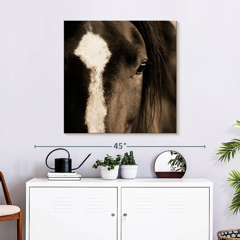 Brampt Dark Eyes, 30'' H x 30'' W