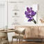 Fleurs de pois Harnek-108255386