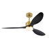 Gold with Black Blades