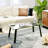 Bexlie Glass Top Coffee Table