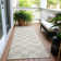  Colturo Area Rug