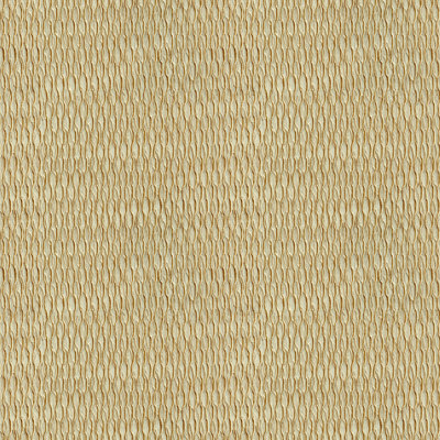 Basics Fabric