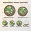 Panneau de vitrail Tropical Frog - 7,8 H-1402187747