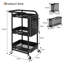 Arunjit Metal Bar Cart-1222310251