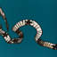 Cosmique Print-519673789