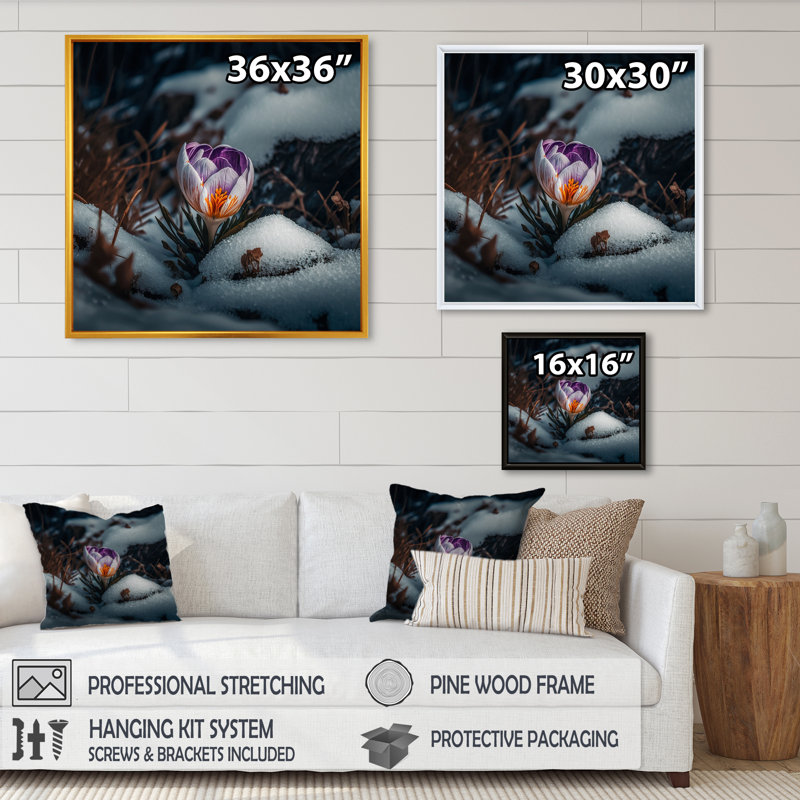 Une fleur de crocus en fleurs III - Photographie sur toile, H 30 po x l 30 po x P 1 po, Toile avec cadre flottant or