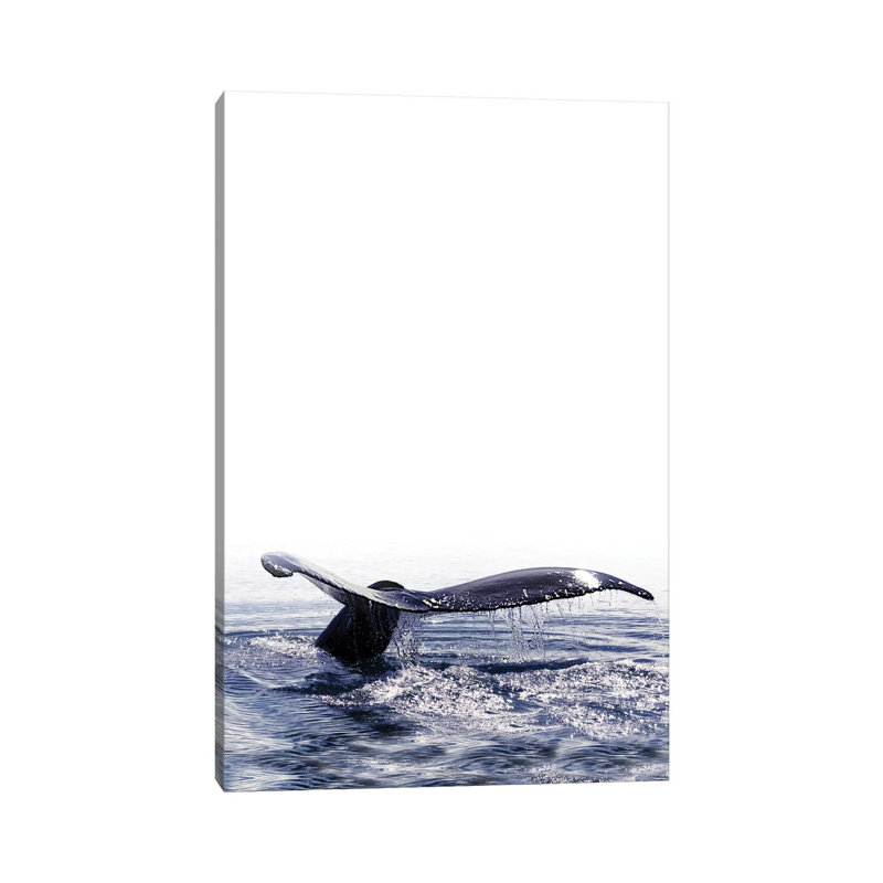 Whale Song Iceland I by Monika Strigel - Wrapped Canvas Painting, 66.04 cm H x 45.72 cm W x 1.91 cm D