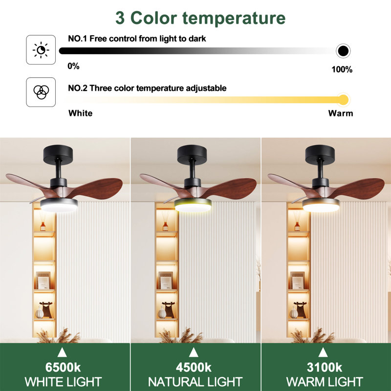 24" Small  Ceiling Fan With Light Remote Control, Brown