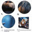 «Winter Blue Bird Serenity V», art mural oiseau-978638919-978638943