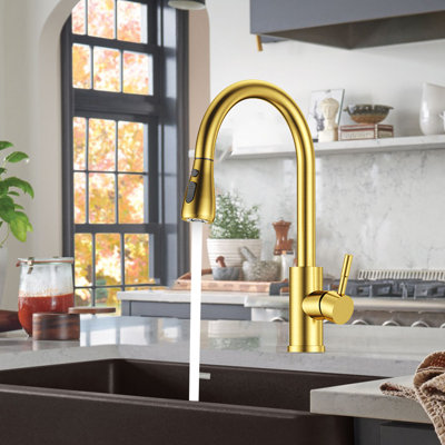Pull Down Spray Single Lever Kitchen Tap