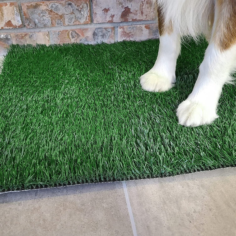 https://assets.wfcdn.com/im/92571414/resize-h755-w755%5Ecompr-r85/2147/214722894/Dog+Grass+Pet+Loo+Indoor%2FOutdoor+Portable+Potty%2C+Artificial+Grass+Patch+Bathroom+Mat+And+Washable+Pee+Pad+For+Puppy+Training%2C+Full+System+With+Trays.jpg