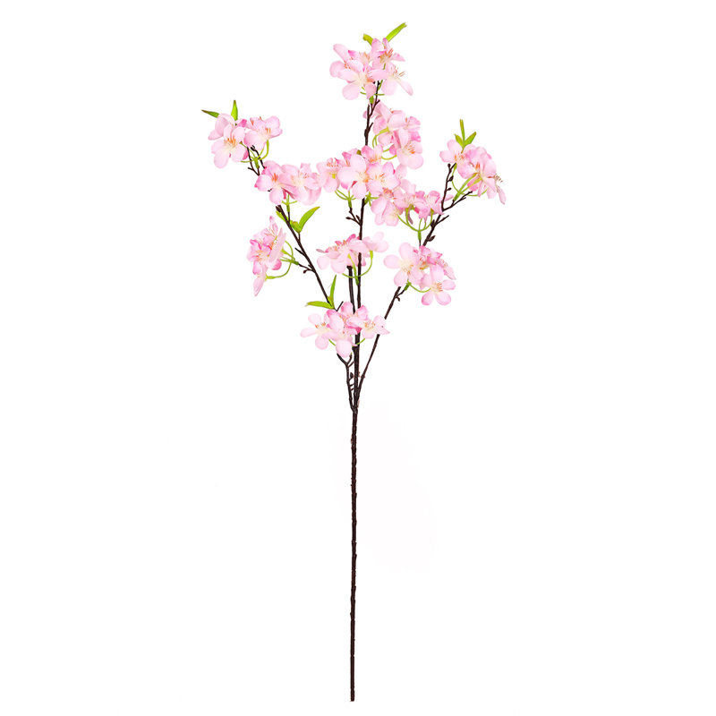 Tige de pommier, Rose clair