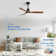 Nicola 52'' Ceiling Fan with LED Lights
