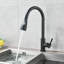 Belfry Kitchen Passaic Kitchen Faucet