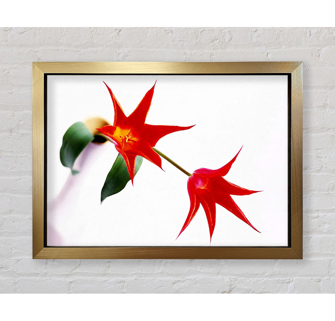 Gerahmtes Wandbild Twin Fire Tulip Centre