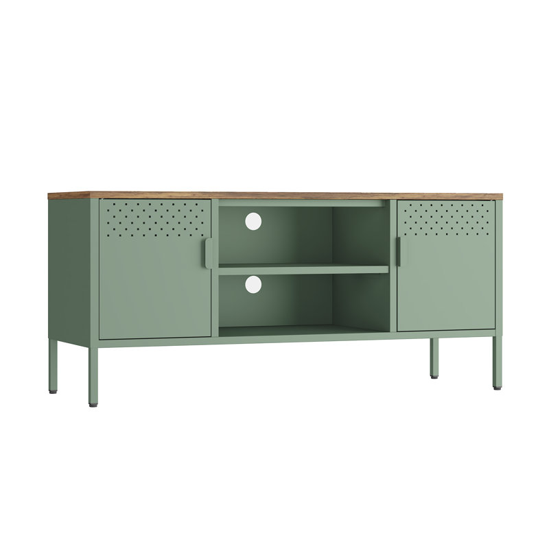 Landen 47 TV Stand with 6 Fixed Shelves, Green