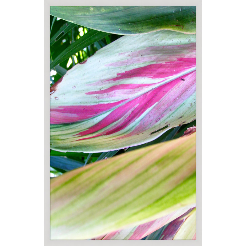Natural Texture Series 7' Framed Photographic Print on Glass