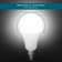Ba22d LED Globe Light Bulb