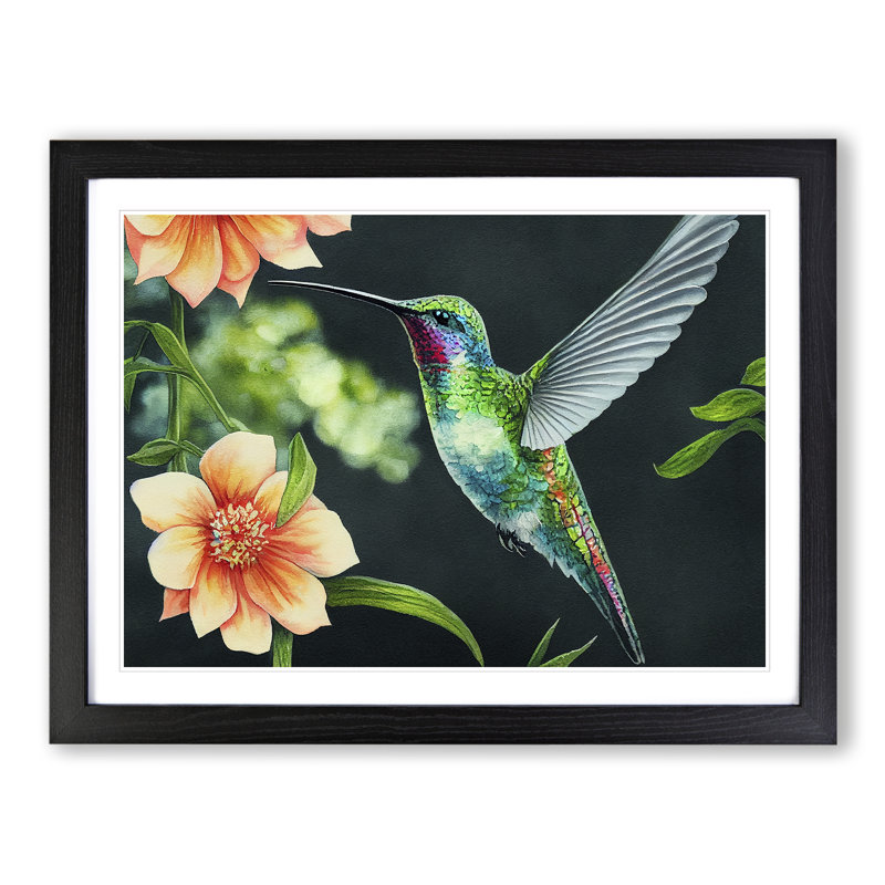 Hummingbird Vol.3 - Single Picture Frame Print, Black, 46cm H x 64cm W x 2cm D