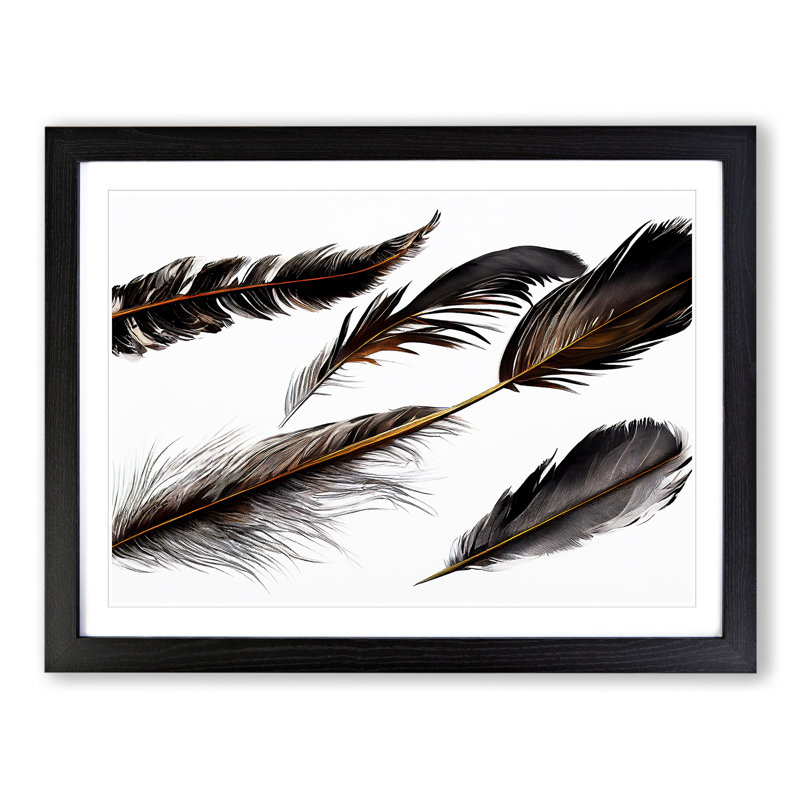 Astounding Bird Feathers - Single Picture Frame Print, Black Framed, 46cm H x 64cm W x 2cm D