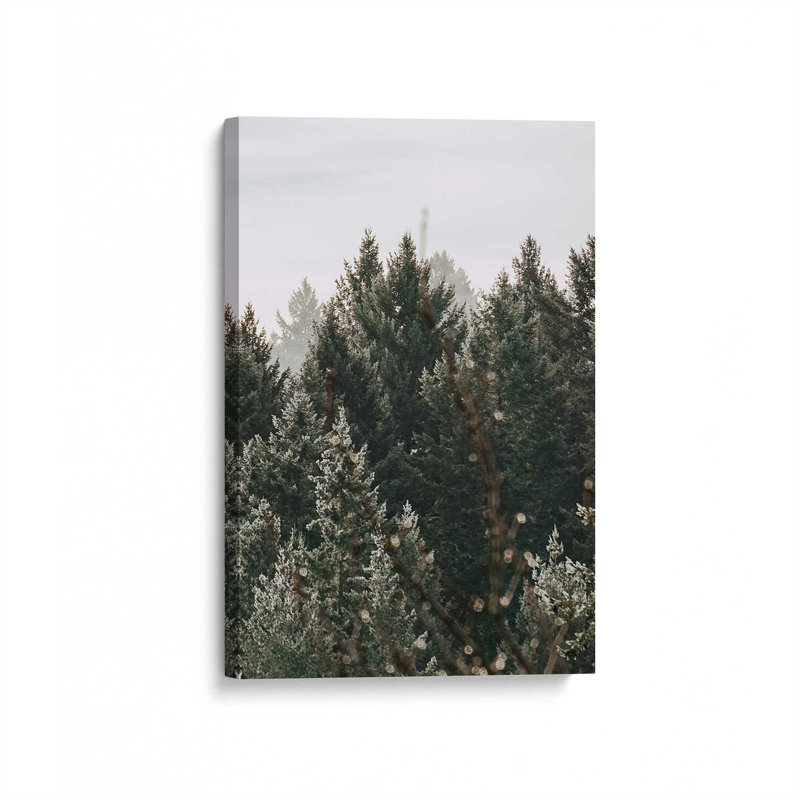 Impression sur toile Hush Evergreen III, H 18 po x l 12 po x P 1,25 po, Toile tendue