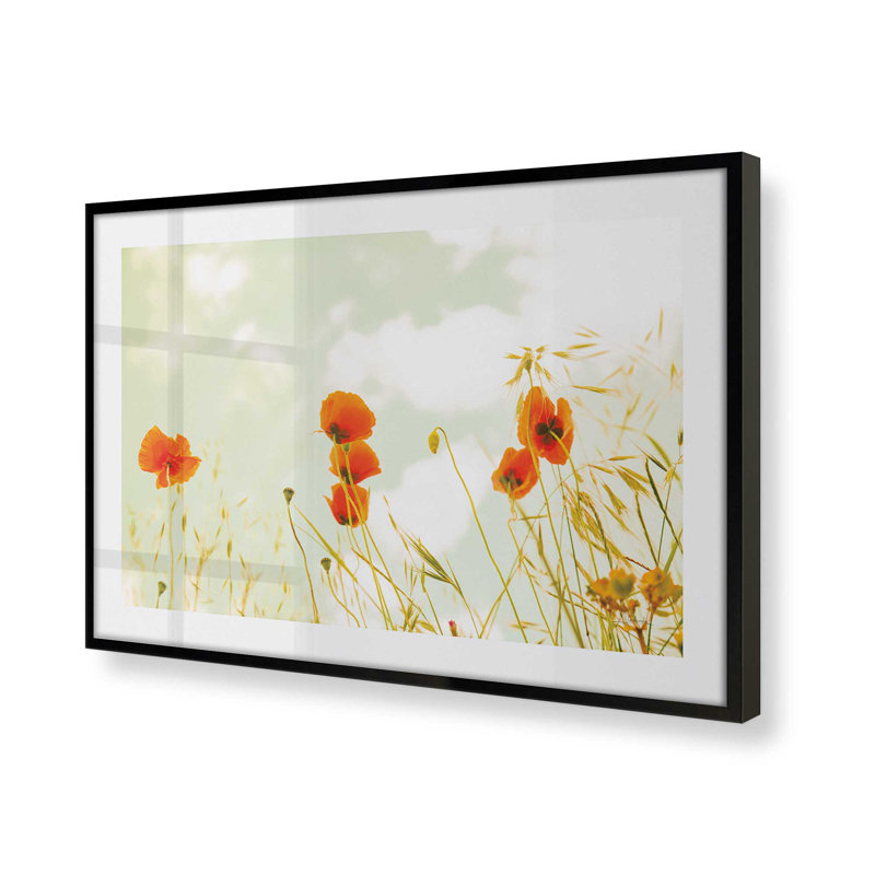 " Gentle Poppy Breeze ", Satin Black, 17" H x 21" W