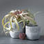 Pot de fleurs en céramique Vartan-799407850