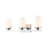 Berner 3 - Light Dimmable Vanity Light-1059983477