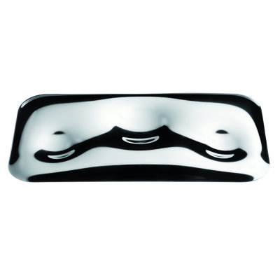 Finger Food Stainless Steel Tray
