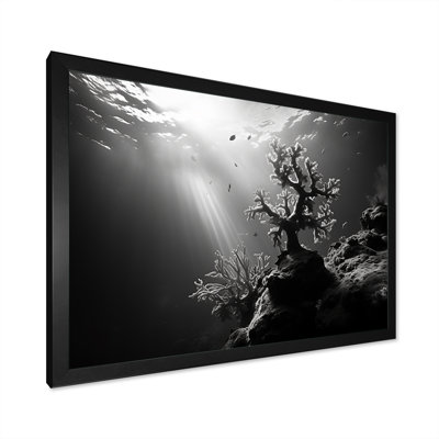 " Black And White Coral Artistic Ocean Ballet "