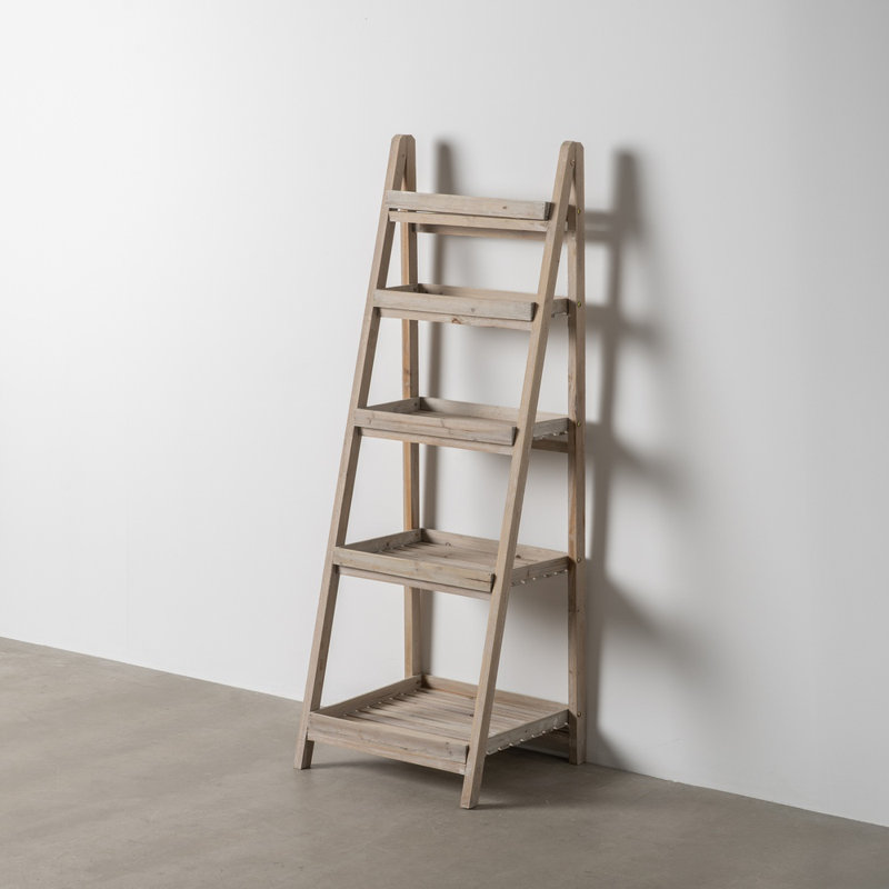 Rigina 50cm W Solid Wood Shelving Unit
