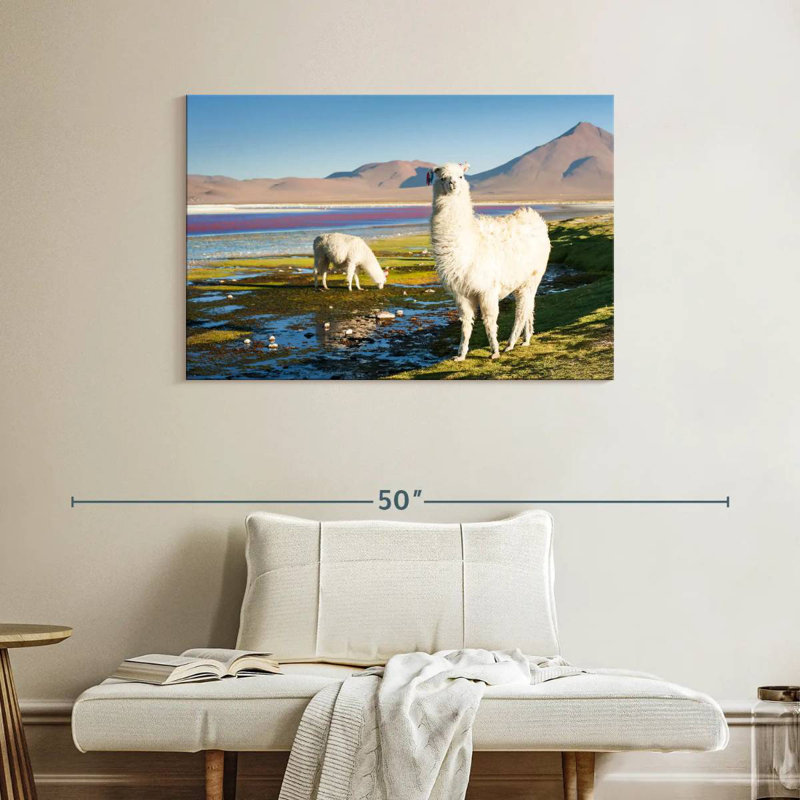 Brampt Laguna Colorada Alpacas, H 26 po x l 39 po