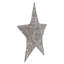 LED Silver Star Outdoor Christmas Lighted Display