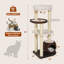 Arbre à chat à niveaux multiples 53 po - Tour pour chat en rotin tissé à la main avec condo, perchoirs et poteaux à griffer en sisal