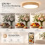 1-Light Integrated LED Flush Mount