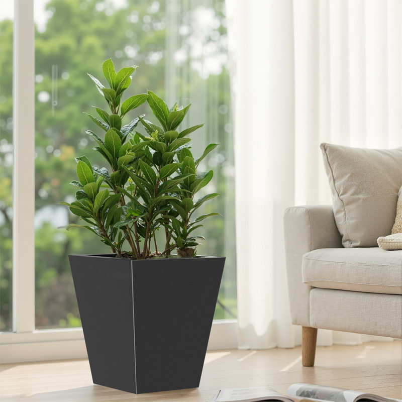 Jardinière d'extérieur / intérieur en métal avec jardinière et jardin surélevé Cachepots, H 22 po x l 19 po x P 19 po, 1