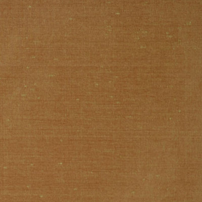 Imported Fabric